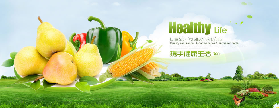 大連長興島經(jīng)濟(jì)區(qū)廣福小學(xué)（越益麗）